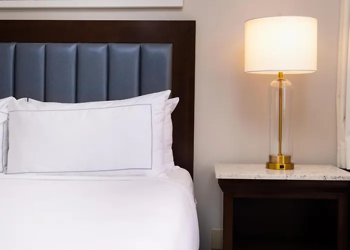 Chambre Accessible aux Personnes à Mobilité Réduite Lit King-Size